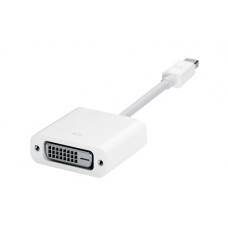 Mini display port to DVI adapter (MB570)